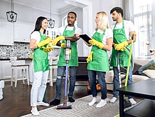 A team of four young cleaners, two male and two female, stand in an upscale living room to discuss the plan of action for how to clean the home they're in.