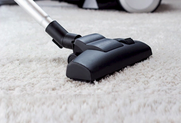 A tight shot of a black vacuum head one top of white carpet.